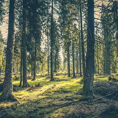 El Mirador De La Molina Διαμέρισμα Λα Μολίνα Εξωτερικό φωτογραφία