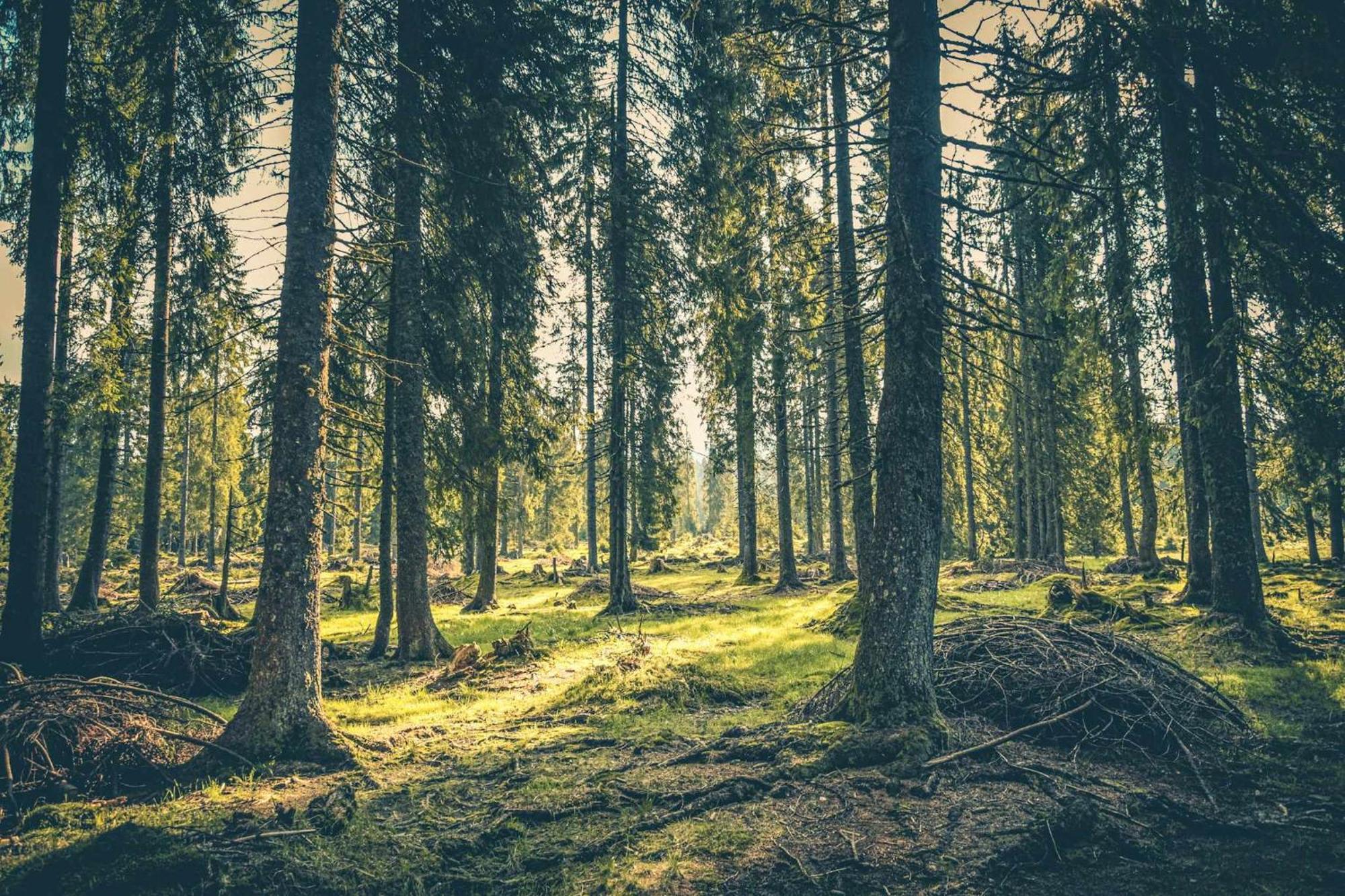 El Mirador De La Molina Διαμέρισμα Λα Μολίνα Εξωτερικό φωτογραφία